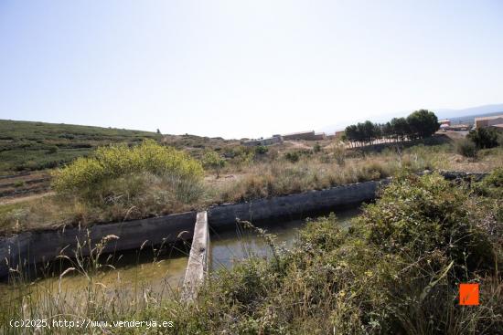 FINCA RUSTICA CON CASETA EN VENTA EN MAS DE BARBERANS (TARRAGONA) - TARRAGONA