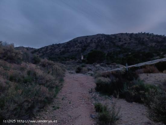  2 TERRENOS RÚSTICOS / 14 933M2 / PARAJE SERRETA - ALICANTE 