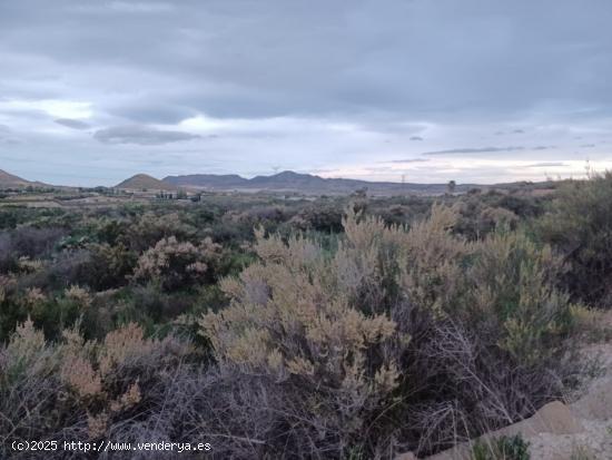 2 TERRENOS RÚSTICOS / 14 933M2 / PARAJE SERRETA - ALICANTE