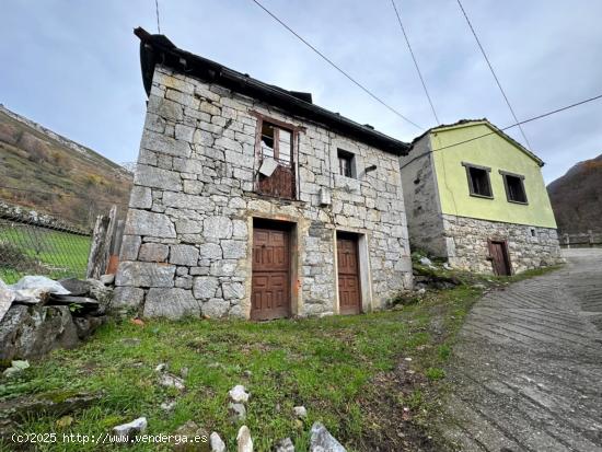 CASA DE PIEDRA PARA REFORMAR EN EL PUEBLO DE RIOALLER, PRINCIPADO DE ASTURIAS. - ASTURIAS