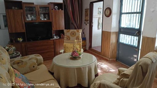 Casa de pueblo en Venta en Pozo Lorente Albacete