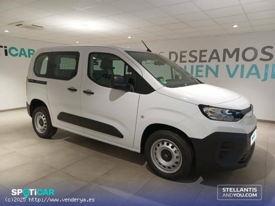 Citroën Berlingo  Talla M BlueHDi 100 S&S You - Almería