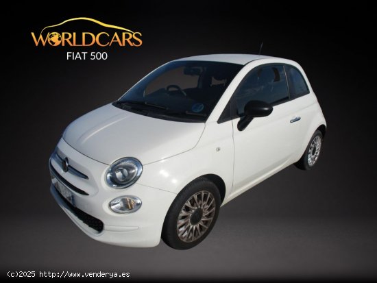  Fiat 500 1.0 mild hybrid cult - San Vicente del Raspeig 