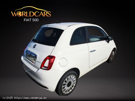 Fiat 500 1.0 mild hybrid cult - San Vicente del Raspeig