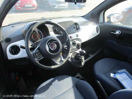 Fiat 500 1.0 mild hybrid cult - San Vicente del Raspeig