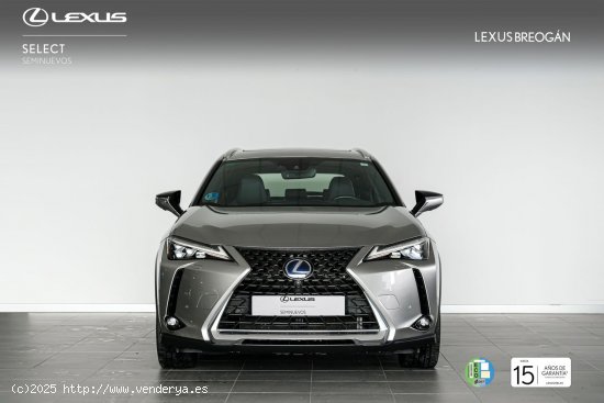 Lexus UX 250H 2WD Luxury Lexus UX en Galicia: A Coruña, Santiago, Lugo y Pontevedra. - A Coruña