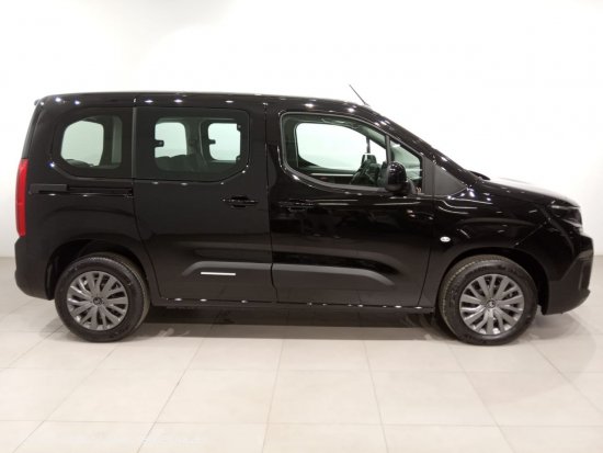 Citroën Berlingo Talla M BlueHDi 100 S&S PLUS - Álava