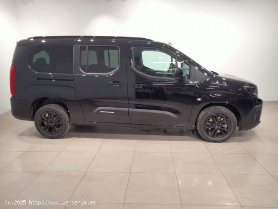 Citroën Berlingo Talla XL BlueHDi 130 S&S MAX - Álava