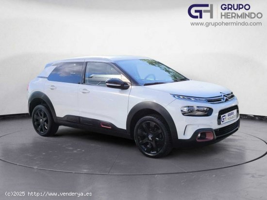  Citroën C4 Cactus BLUE HDI 100 CV SHINE - Ponteareas 