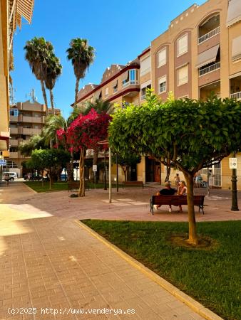 GRAN BAJADA DE PRECIO!!Excepcional ático con vistas al mar en Guardamar del Segura! - ALICANTE