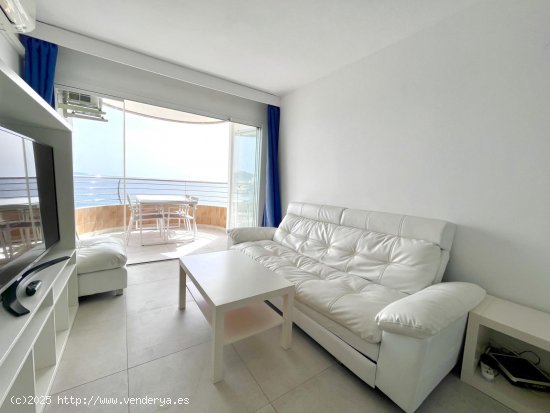 Apartamento en alquiler en Palma de Mallorca (Baleares)