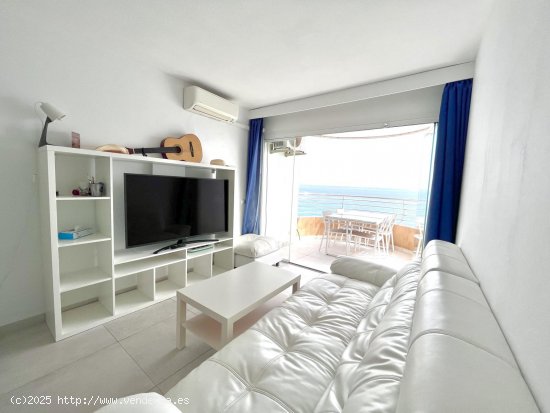 Apartamento en alquiler en Palma de Mallorca (Baleares)