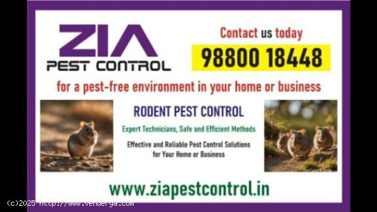 Rodent Control | pest Control 100 result Get Upto 40% Off on  PG  service | 5042