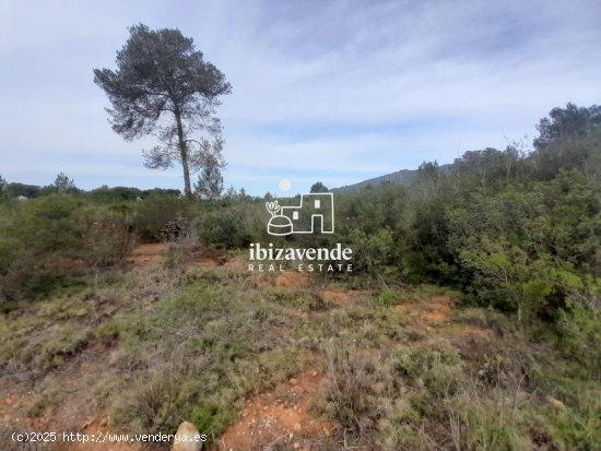 Parcela en venta en Sant Joan de Labritja (Baleares)