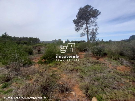 Parcela en venta en Sant Joan de Labritja (Baleares)