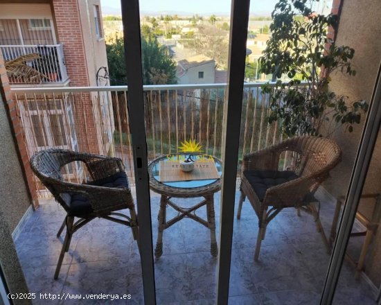 Apartamento en alquiler en Murcia (Murcia)