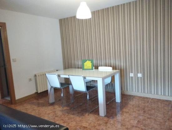 SE ALQUILA HABITACIÓN EN EL CENTRO - ALBACETE