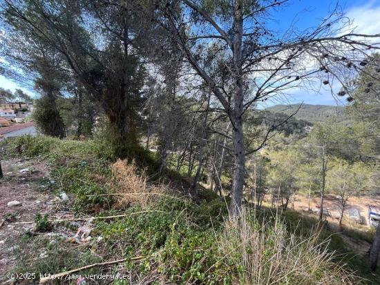 Olivella zona Mas Mestre se vende terreno. - BARCELONA