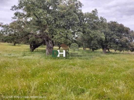 Solar en venta en Cáceres (Cáceres)