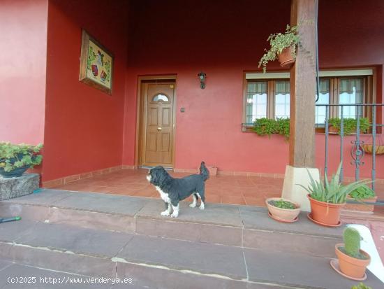 IMPECABLE CASA INDIVIDUAL EN FINCA RÚSTICA PARA ENTRAR A VIVIR - CANTABRIA