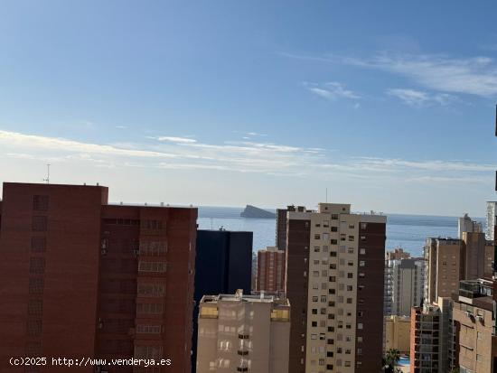 Piso alto 2+1 dorm. con vistas en zona Avenida Europa - www.inmobiliarialesdunes.com - ALICANTE