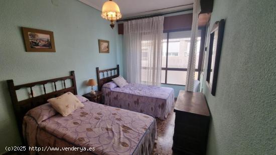 AMPLIO APARTAMENTO DE 3 DORMITORIOS JUNTO A LA PLAZA DEL AYUNTAMIENTO - ZONA TORREVIEJA - - ALICANTE