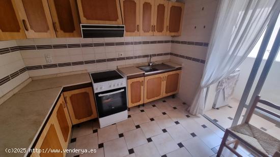 AMPLIO APARTAMENTO DE 3 DORMITORIOS JUNTO A LA PLAZA DEL AYUNTAMIENTO - ZONA TORREVIEJA - - ALICANTE