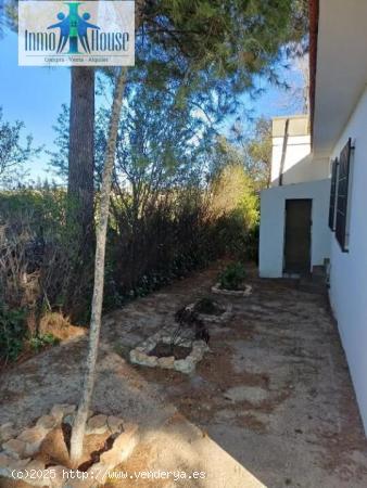 SE VENDE CASA INDEPENDIENTE (REF.L003) - ALBACETE