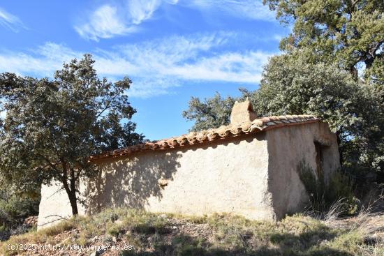 Finca rústica con maset a rehabilitar - TARRAGONA