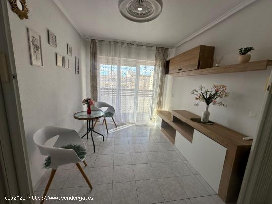  GRAN APARTAMNTO EN TORREVIEJA, 1 HAB, 1 BAÑO - ALICANTE 