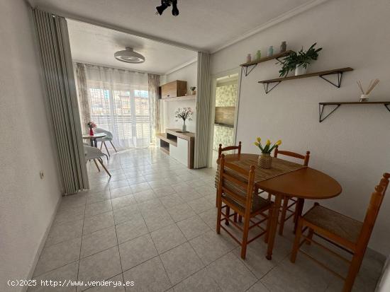 GRAN APARTAMNTO EN TORREVIEJA, 1 HAB, 1 BAÑO - ALICANTE