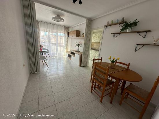 GRAN APARTAMNTO EN TORREVIEJA, 1 HAB, 1 BAÑO - ALICANTE