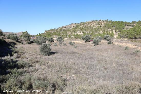  Se vende Terreno próximo a la Carretera de Castelserás - Alcañiz (Teruel) - Ref. TR02042023 - TER 