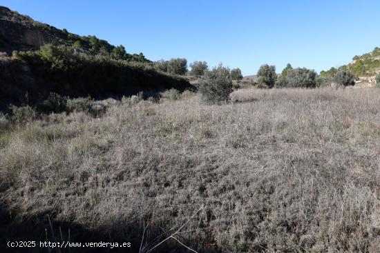 Se vende Terreno próximo a la Carretera de Castelserás - Alcañiz (Teruel) - Ref. TR02042023 - TER