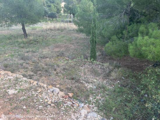 SE VENDE PARCELA URBANA EN MONTAHUD - ALICANTE