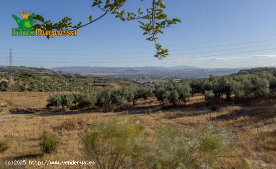 Terreno urbano en venta en Alfacar - GRANADA