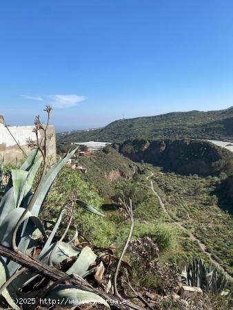 Se Vende en Valsequillo de Gran Canaria - LAS PALMAS