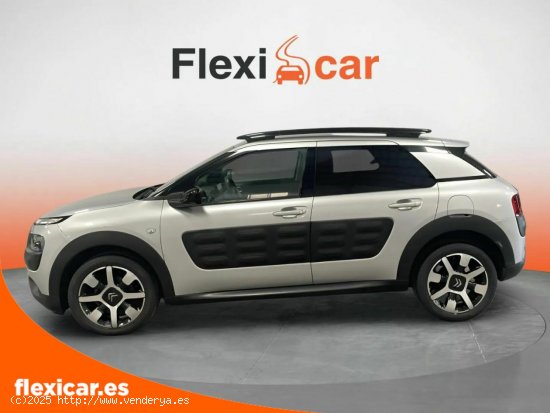 Citroën C4 Cactus PureTech 81KW (110CV) S&S Feel - Las Palmas de Gran Canaria