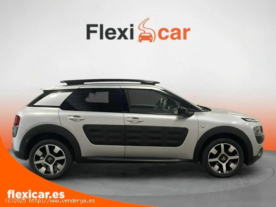 Citroën C4 Cactus PureTech 81KW (110CV) S&S Feel - Las Palmas de Gran Canaria