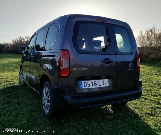 Citroen Berlingo Talla M BlueHDi 100 S&S MAX de 2019 con 181.200 Km por 13.900 EUR. en Sevilla