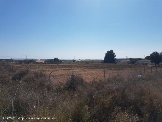 Elche Terreno 9500 m2 frente zona Parque Industrial - ALICANTE