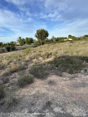  Terreno de Valverde - ALICANTE 