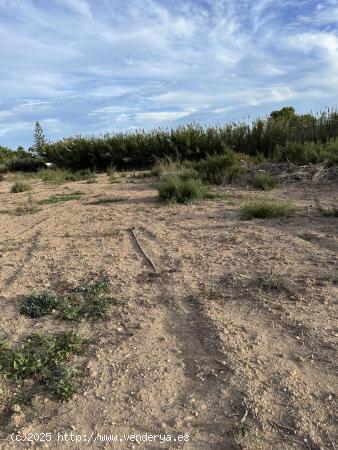 Terreno de Valverde - ALICANTE