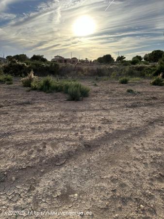 Terreno de Valverde - ALICANTE