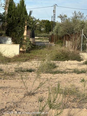 Terreno de Valverde - ALICANTE