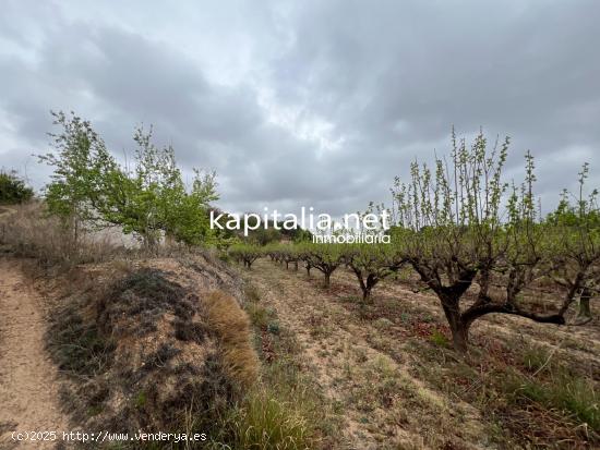  Parcela a la venta en Albaida - VALENCIA 