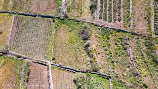 Suelo Rústico de Protección Agraria - SANTA CRUZ DE TENERIFE