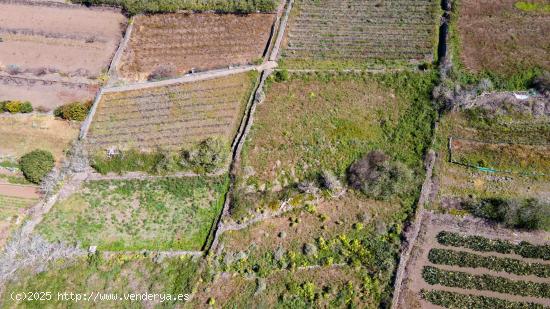 Suelo Rústico de Protección Agraria - SANTA CRUZ DE TENERIFE