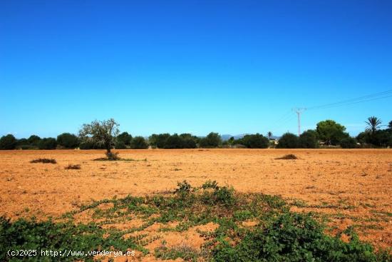 Terreno cerca de Campos en una zona muy tranquila - BALEARES