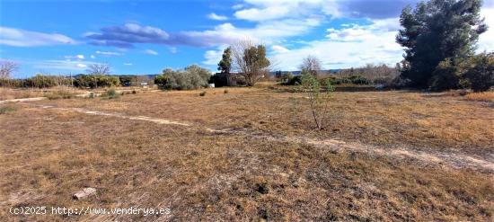 Bonita parcela a orillas del Segura - MURCIA